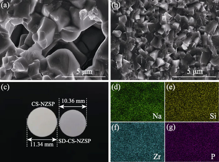Fig 4 SEM images of slice sections for CS-NZSP a and SD-CS-NZSP b corresponding photographs c and elemental mapping images d-g of SD-CS-NZSP Fig 4 SEM images of slice sections for CS-NZSP a and SD-CS-NZSP b corresponding photographs c and elemental mapping images d-g of SD-CS-NZSP